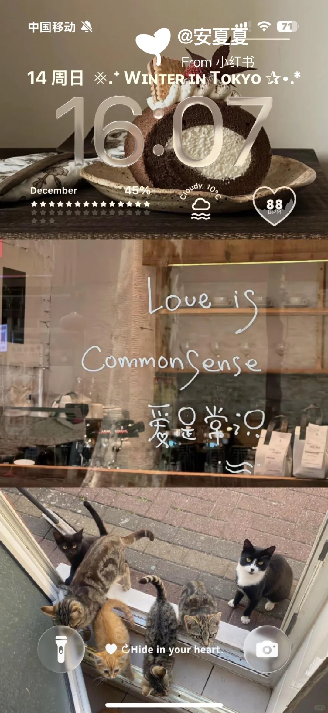 有一天，我不再把离别当失去ins壁纸