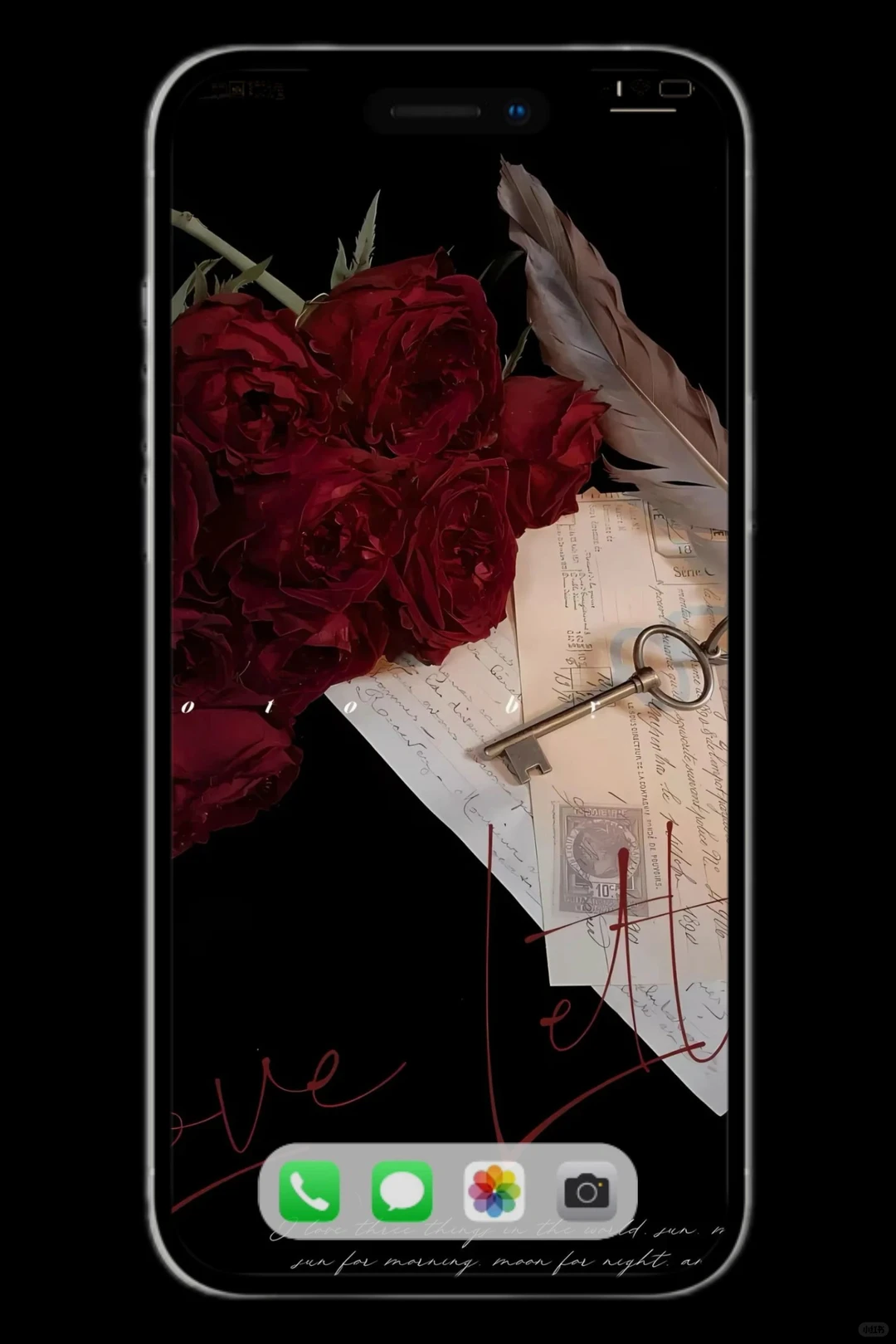 我爱的静物摄影壁纸来啦～