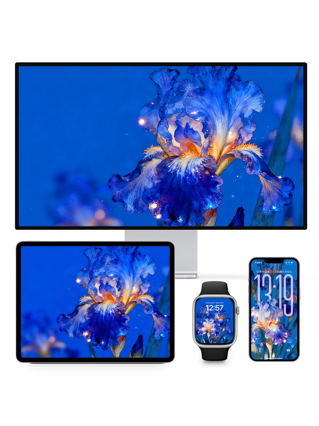 爱的使者鸢尾花｜ios26景深油画壁纸Z458