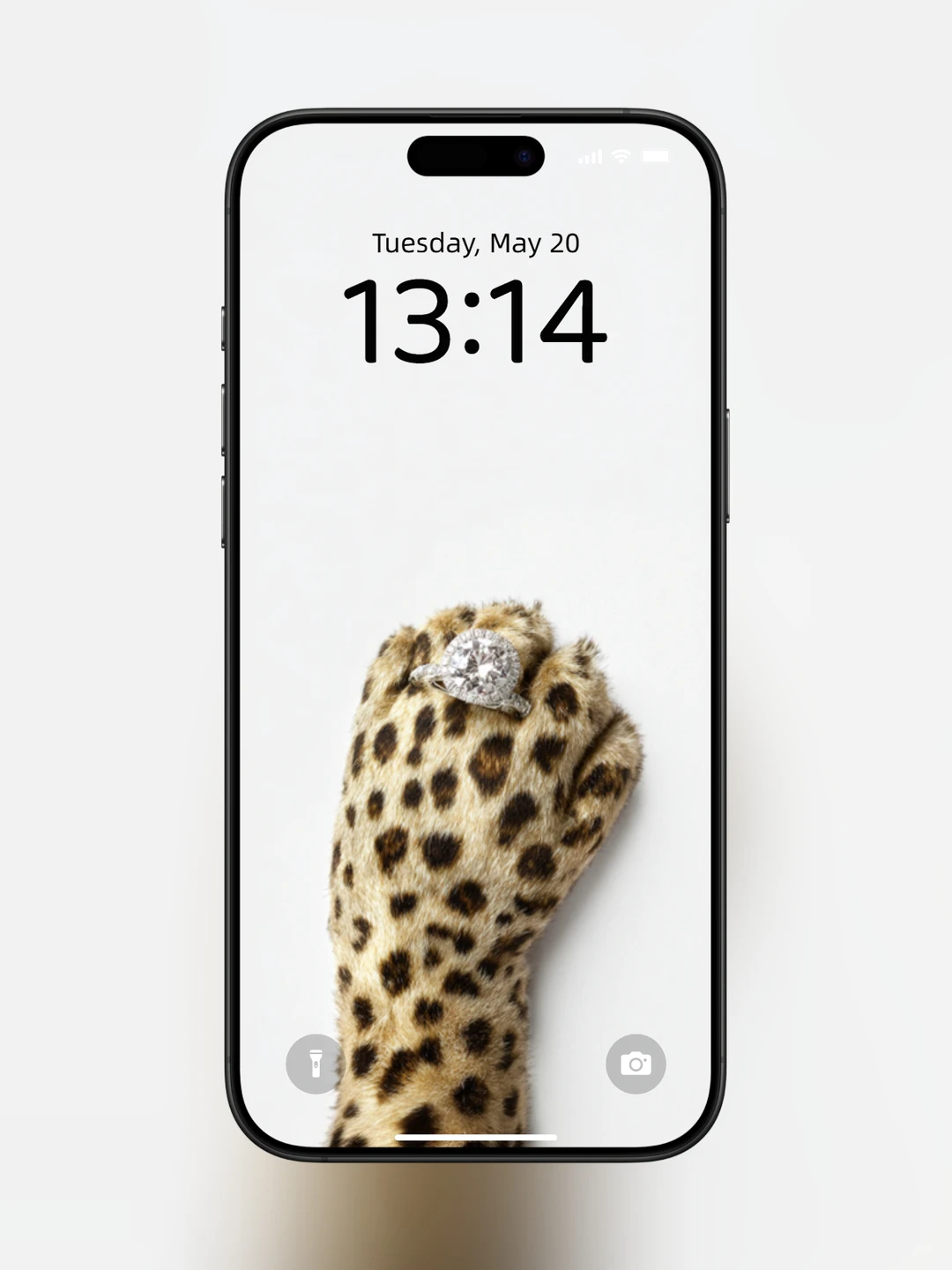 豹纹壁纸 l 钻戒爪爪