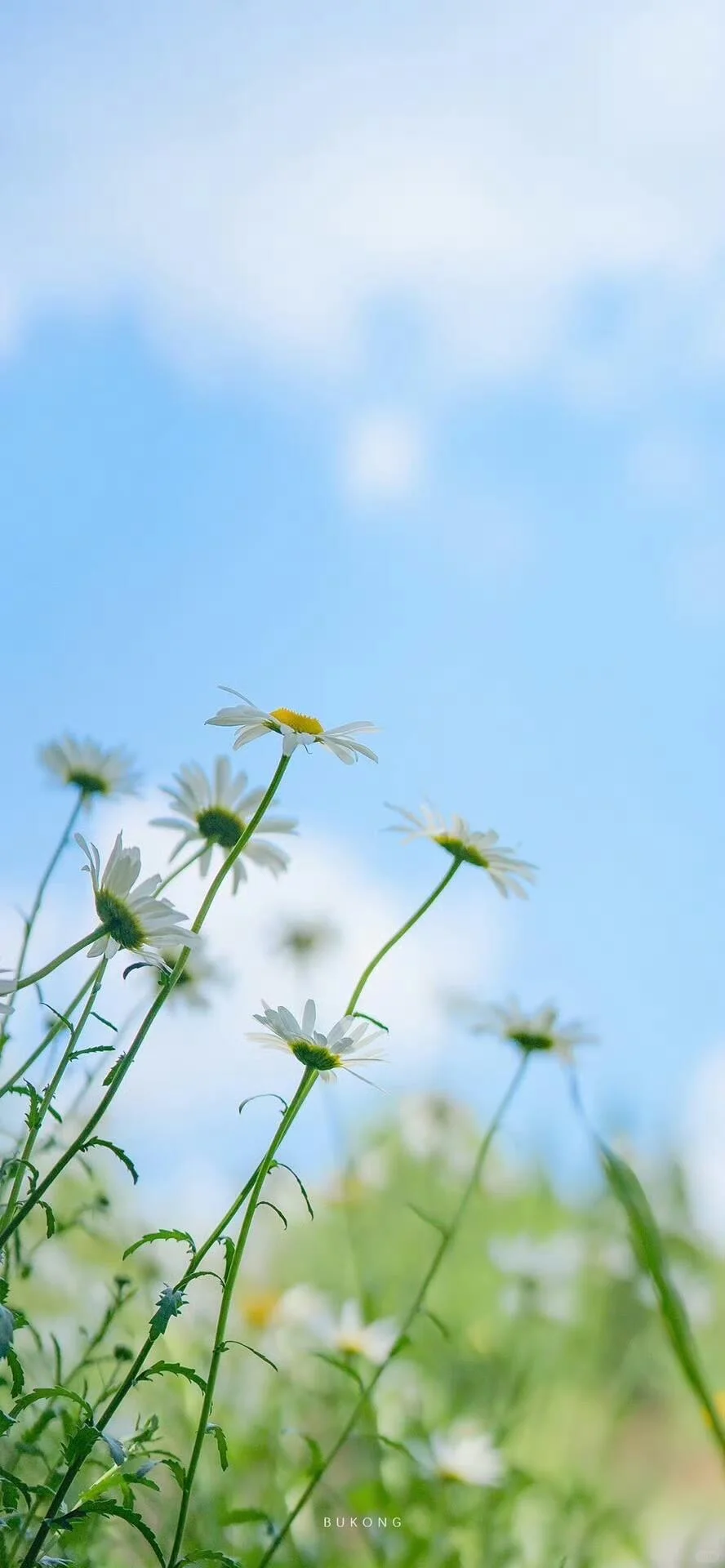 𝐖𝐚𝐥𝐥𝐚𝐩𝐚𝐩𝐞𝐫｜氛围感壁纸