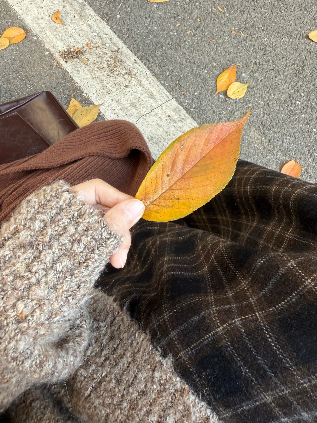 秋冬ootd｜🍂复古又文艺的一套
