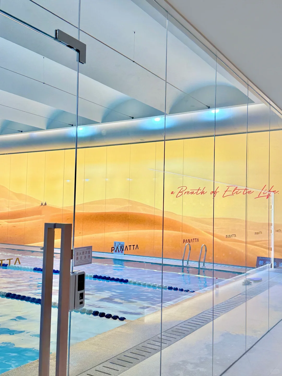 172 110 今天是粉色人鱼姬🧜‍♀️