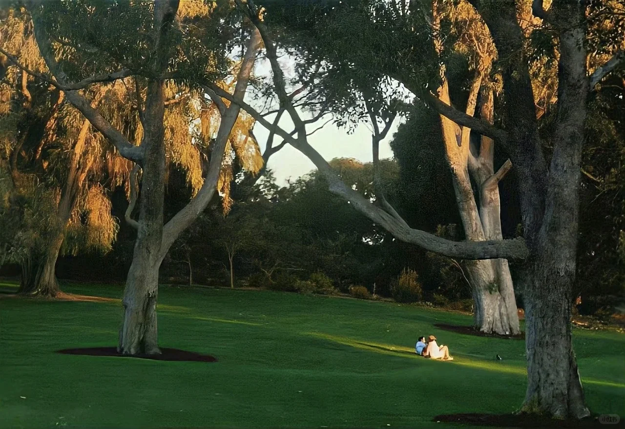 ipad平板壁纸｜高清电脑壁纸