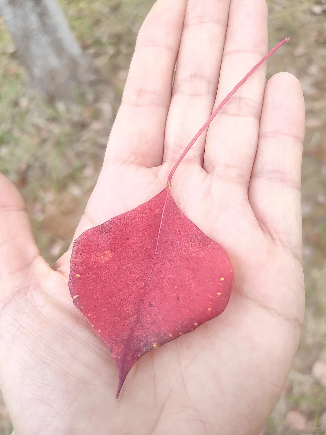 53岁，我的“最美时光”！