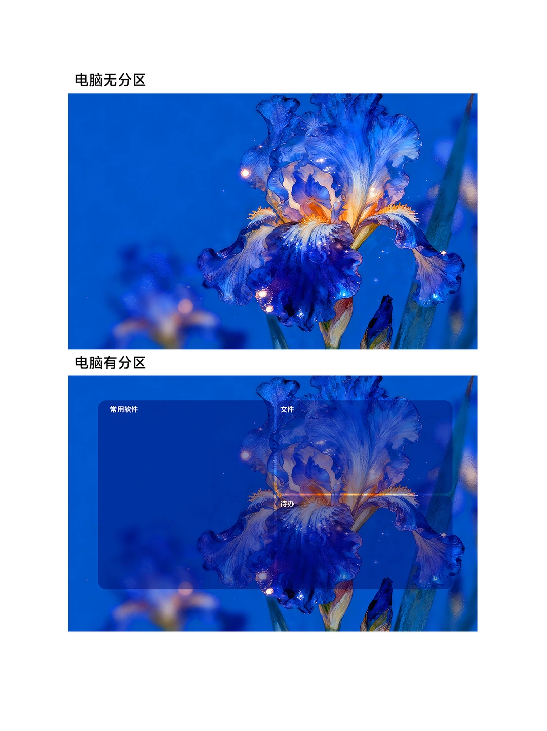 爱的使者鸢尾花｜ios26景深油画壁纸Z458