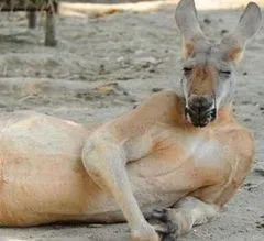 地铁上看到一个女孩子