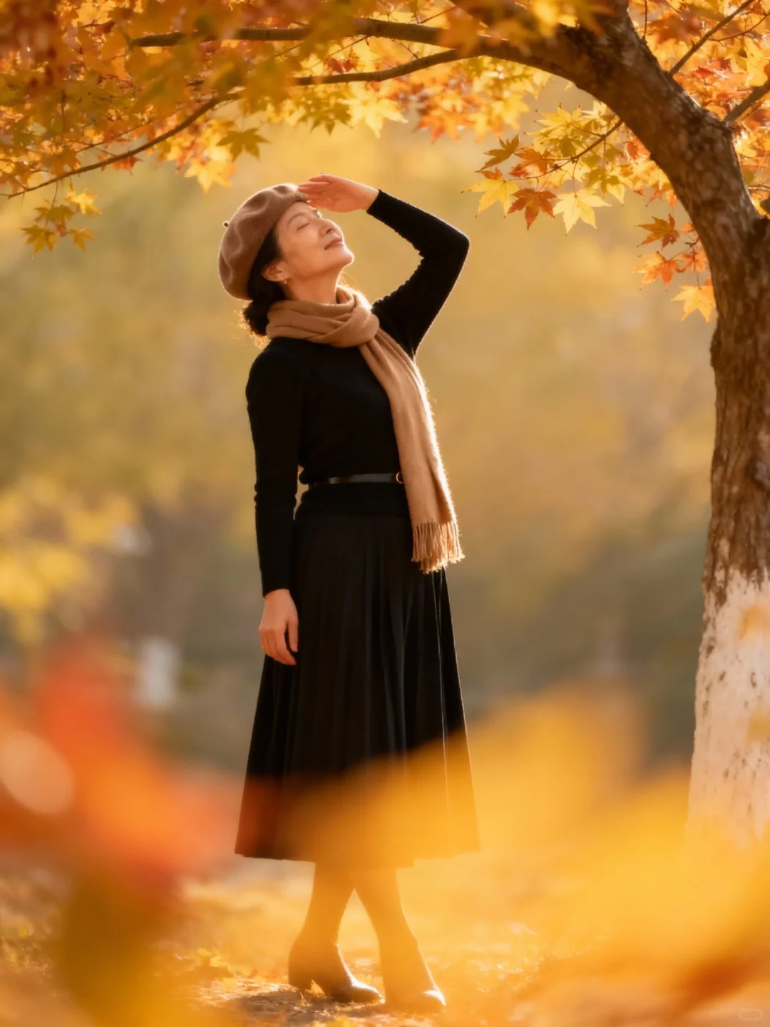 50+枫叶氛围拍照 风韵自成
