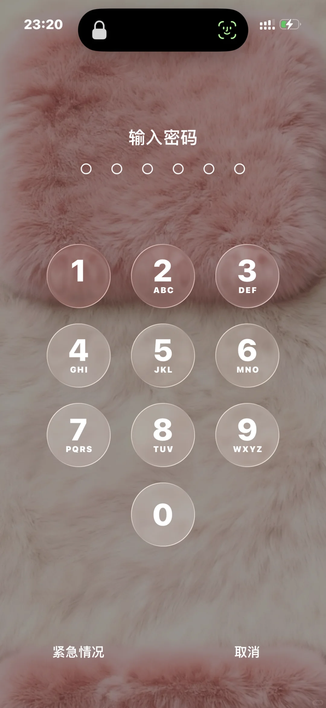 这么可爱的毛茸茸背景谁还没给手机穿上？