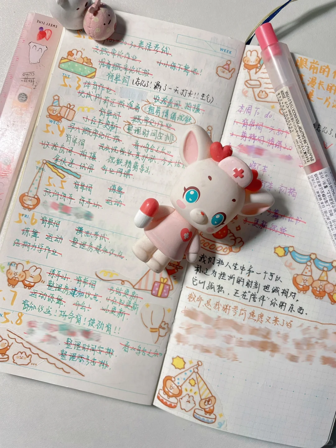 🦎女大学生满满当当的手帐在写什么