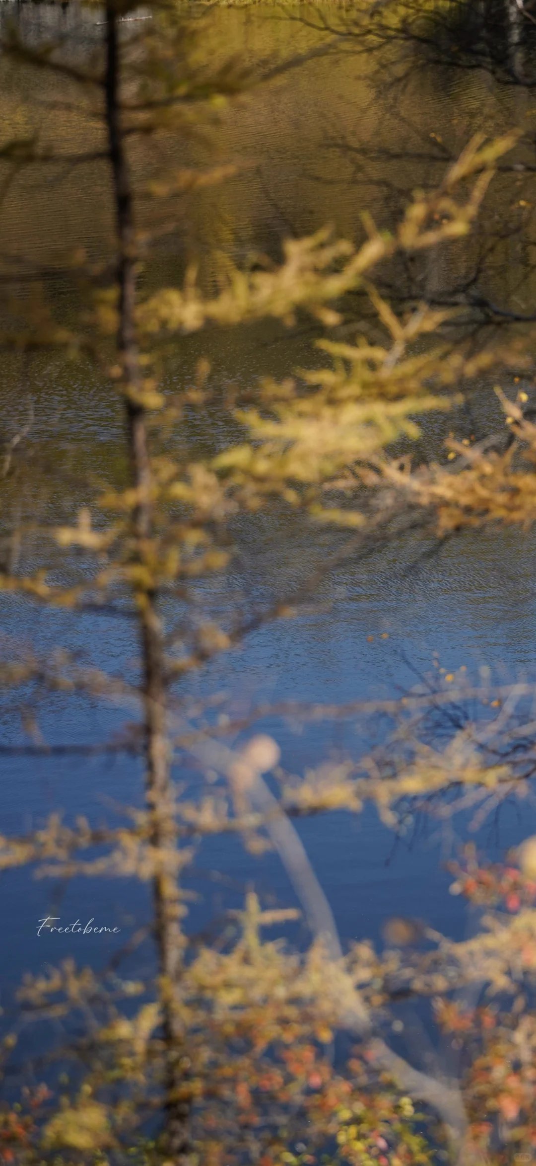 竖屏壁纸·风景～