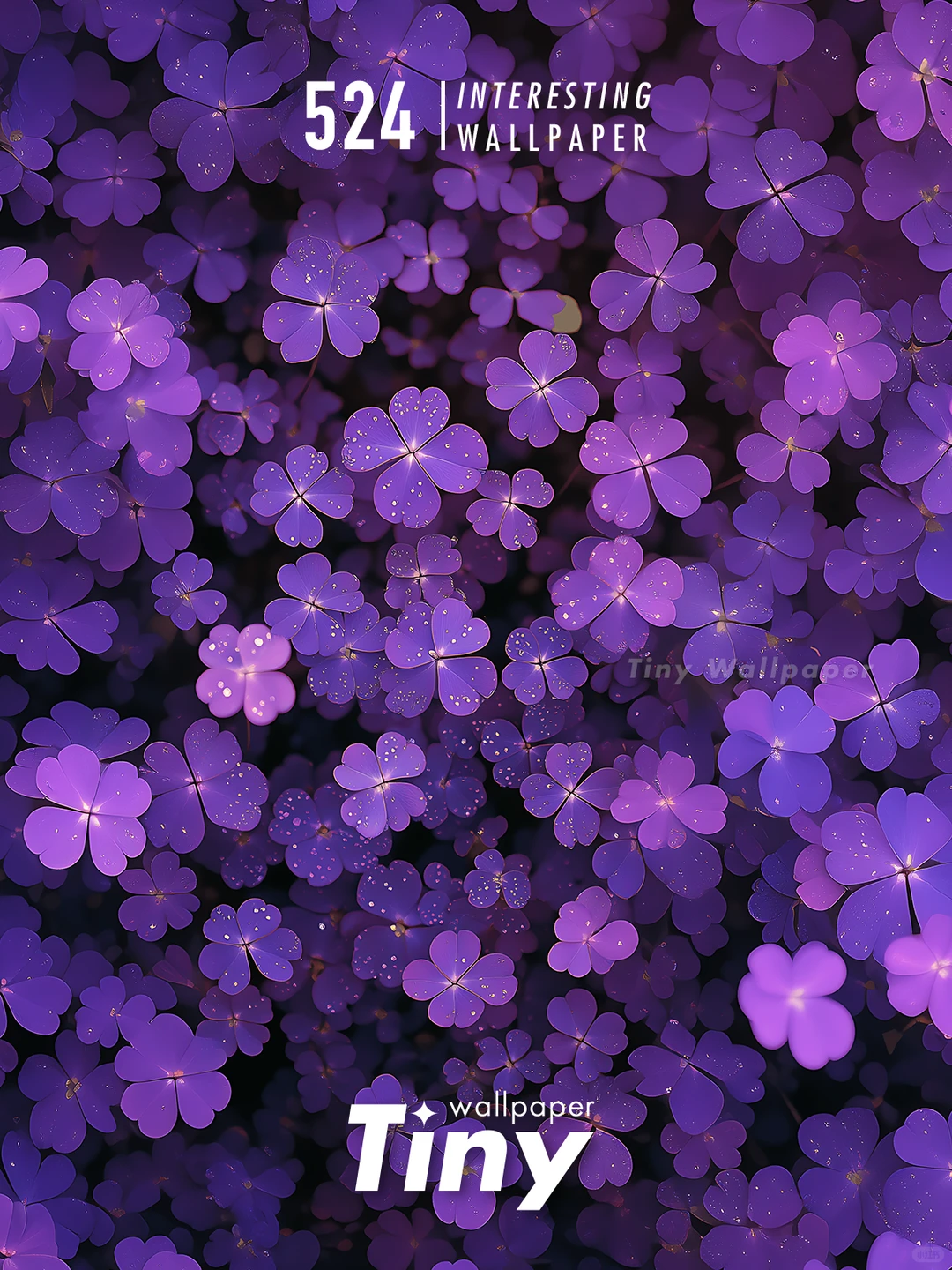 紫色四叶草 壁纸4端丨高级感花朵壁纸