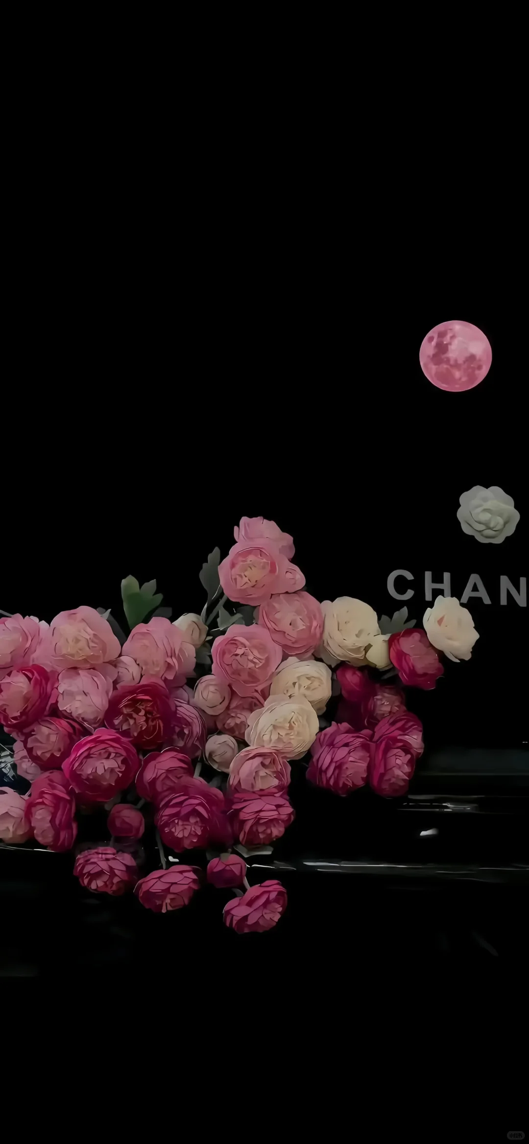 𝙒𝙚𝘾𝙝𝙖𝙩 | 壁纸分享