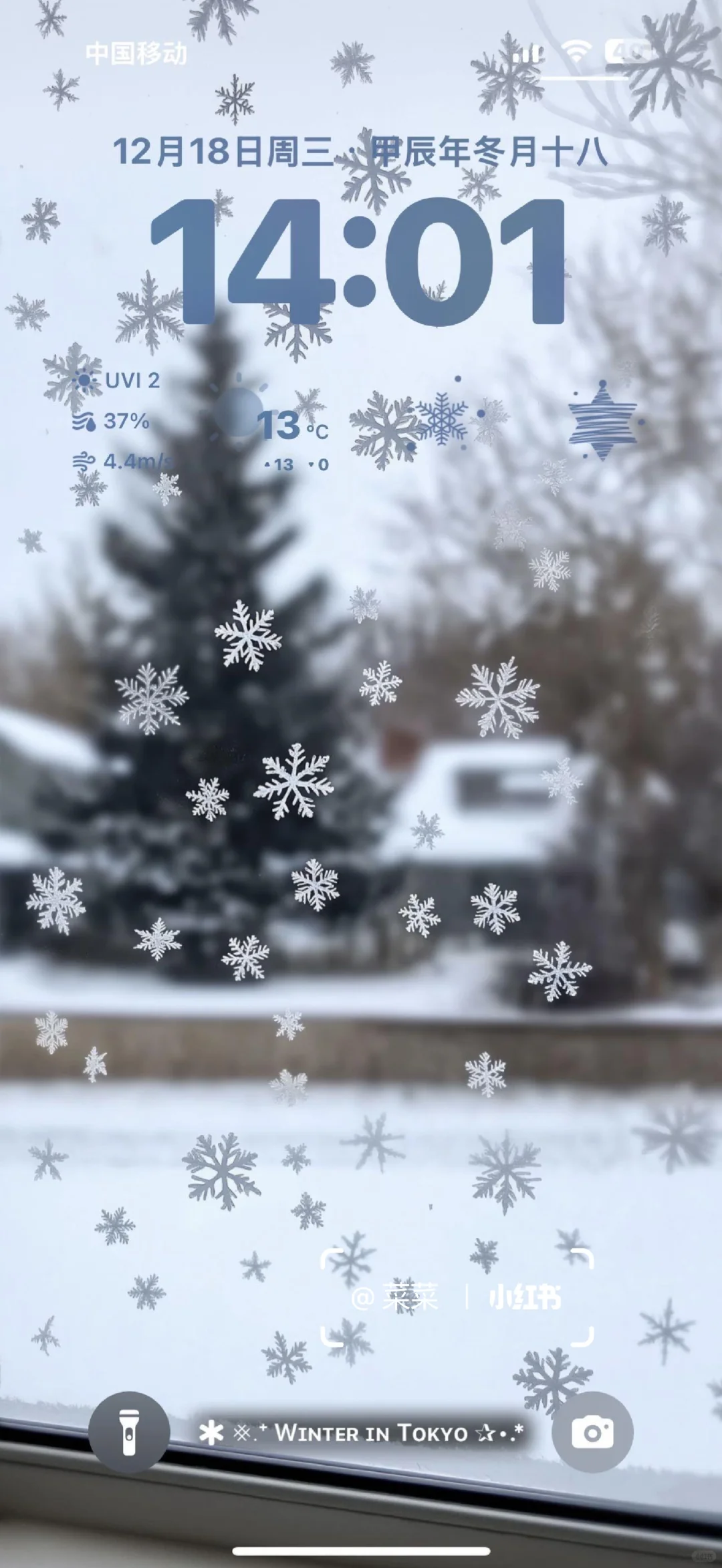 冬天没有人会拒绝这组雪花壁纸的！！