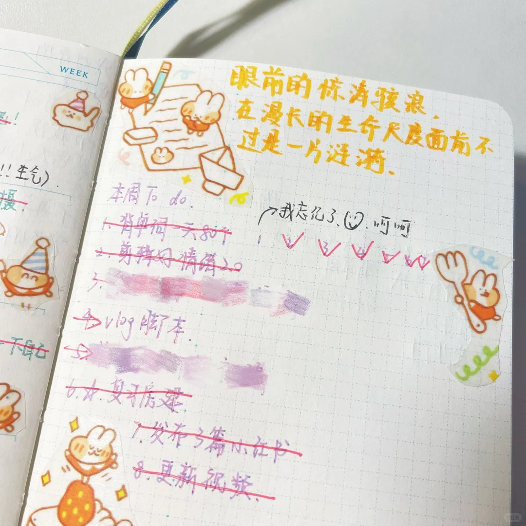 🦎女大学生满满当当的手帐在写什么