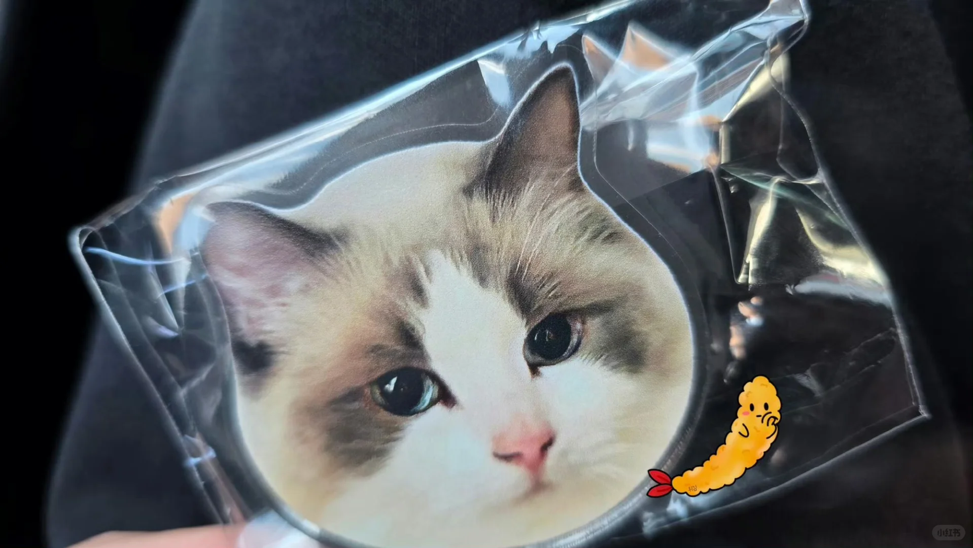 丹尼尔手机壁纸/fancon会员礼&赞儿/鸭鸭