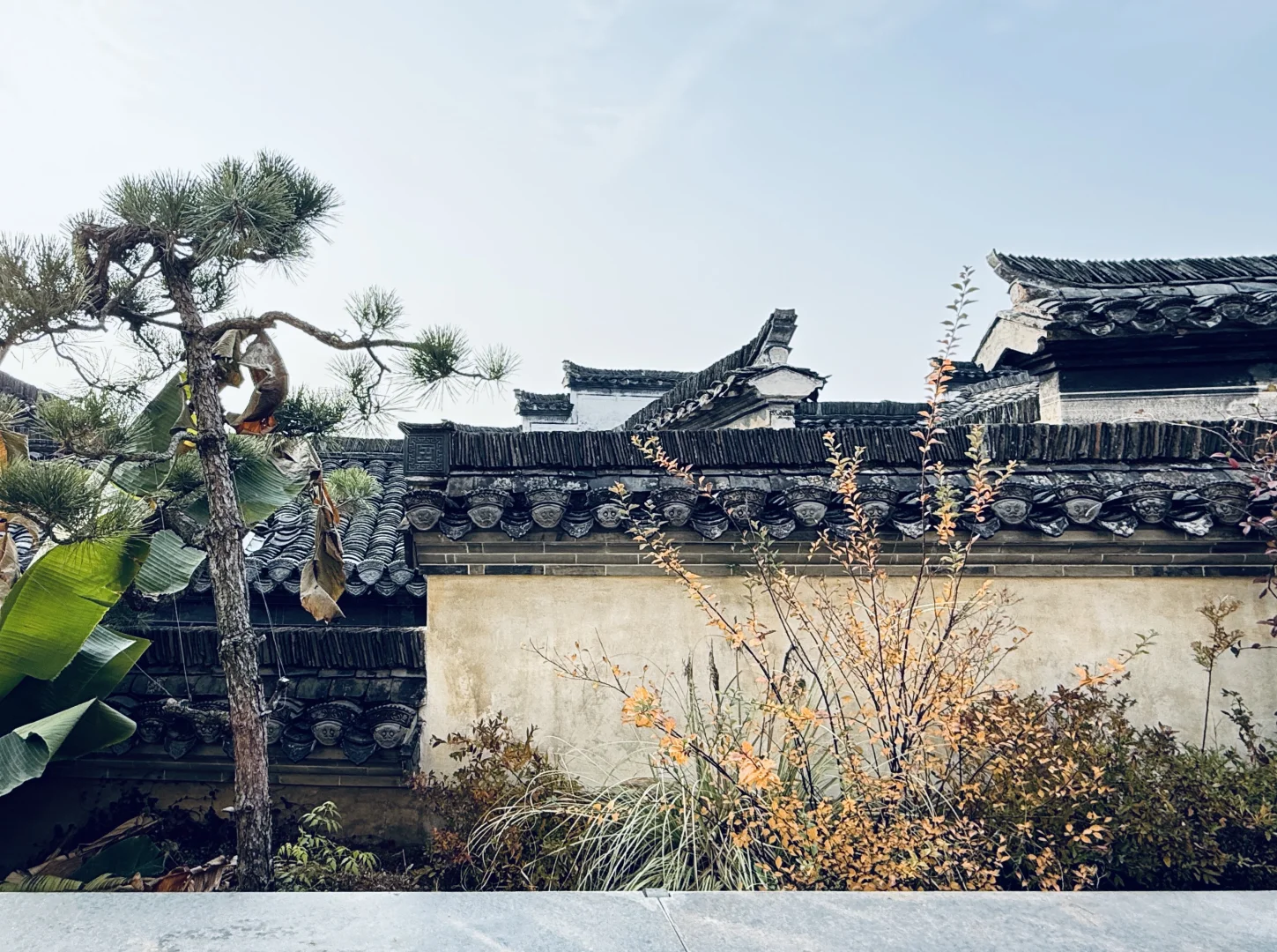 从山野江南到绮靡江南