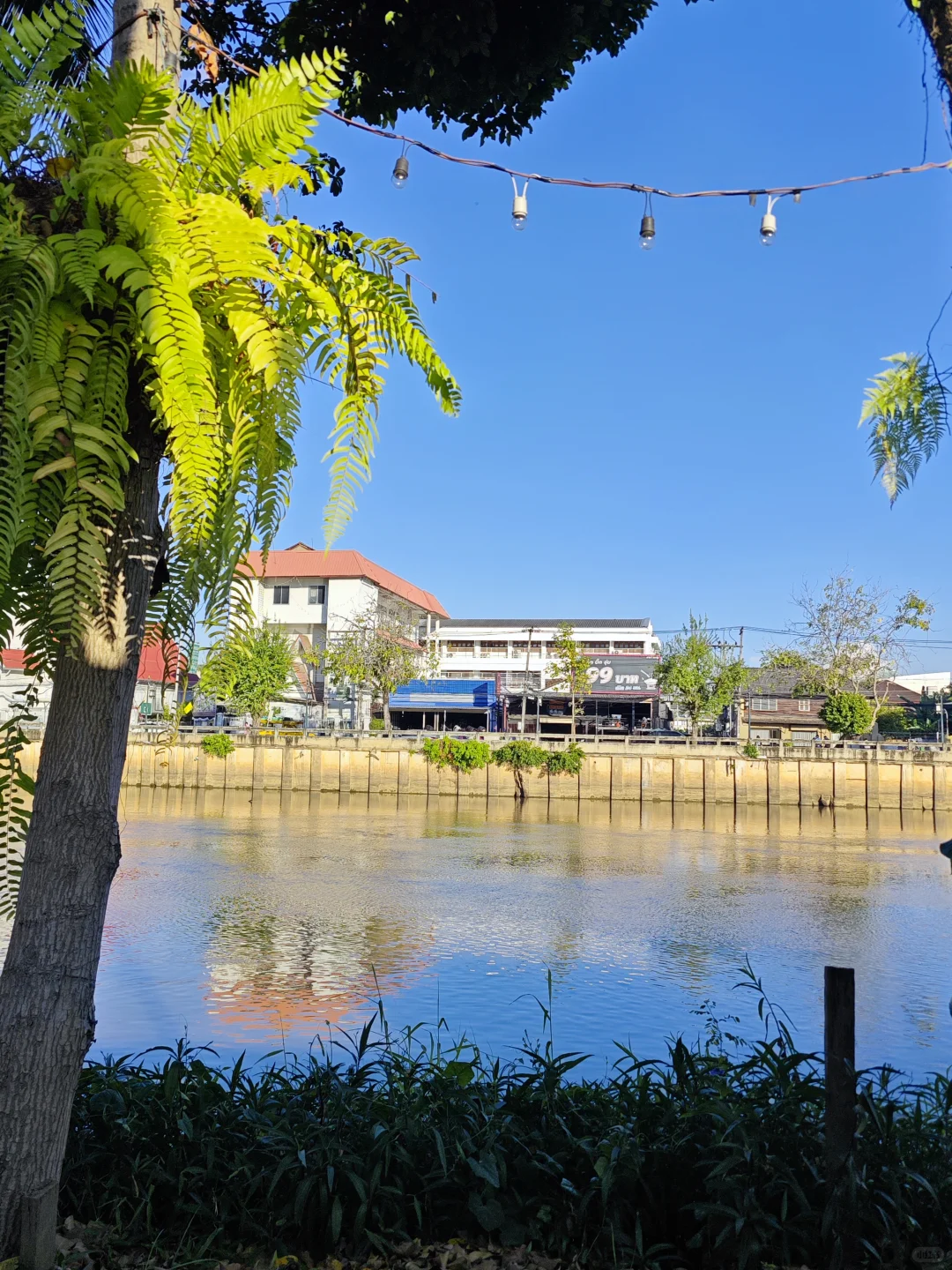 给人介绍朋友的本质是积累信用资产