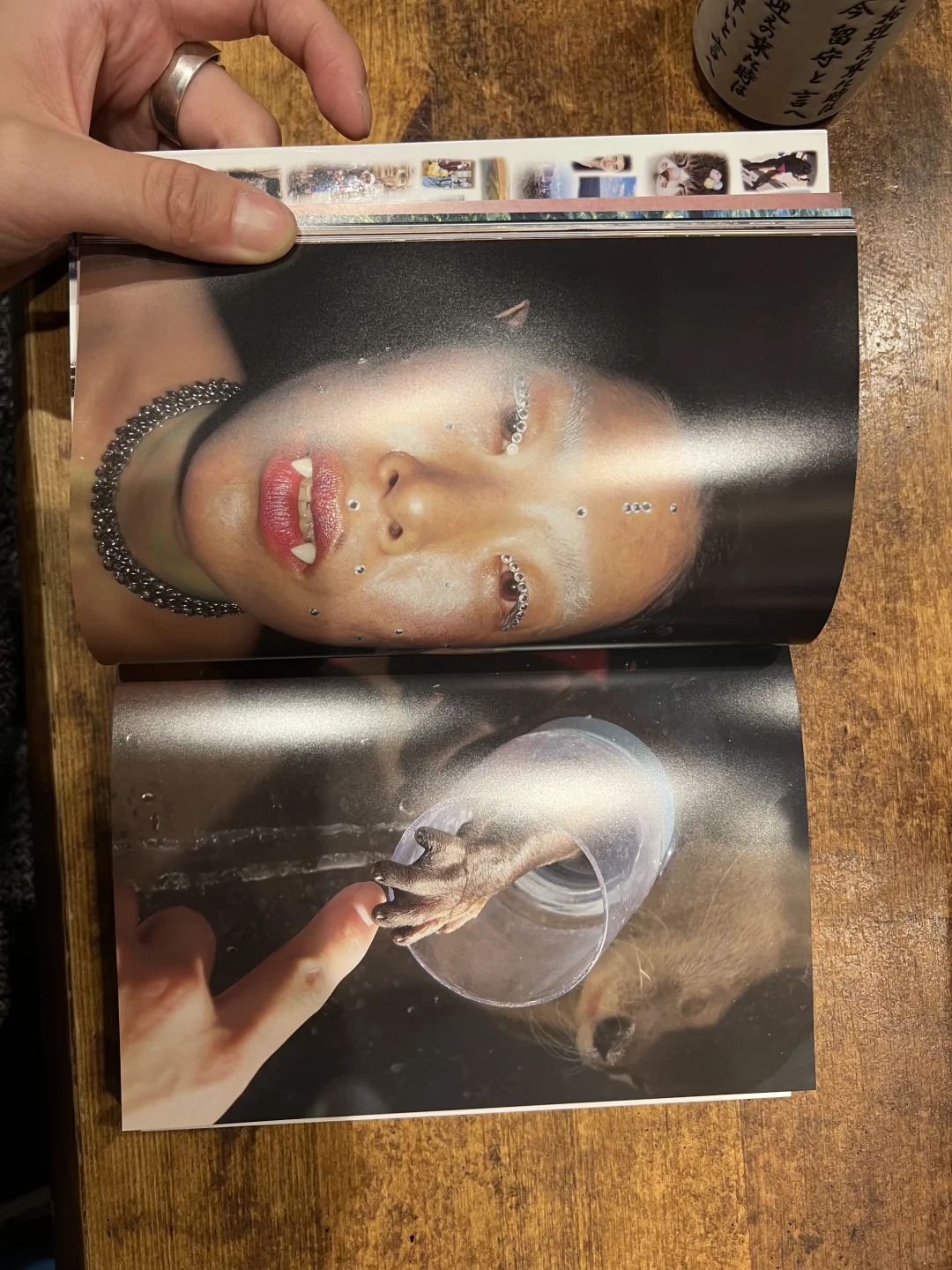 淘到一本喜欢的