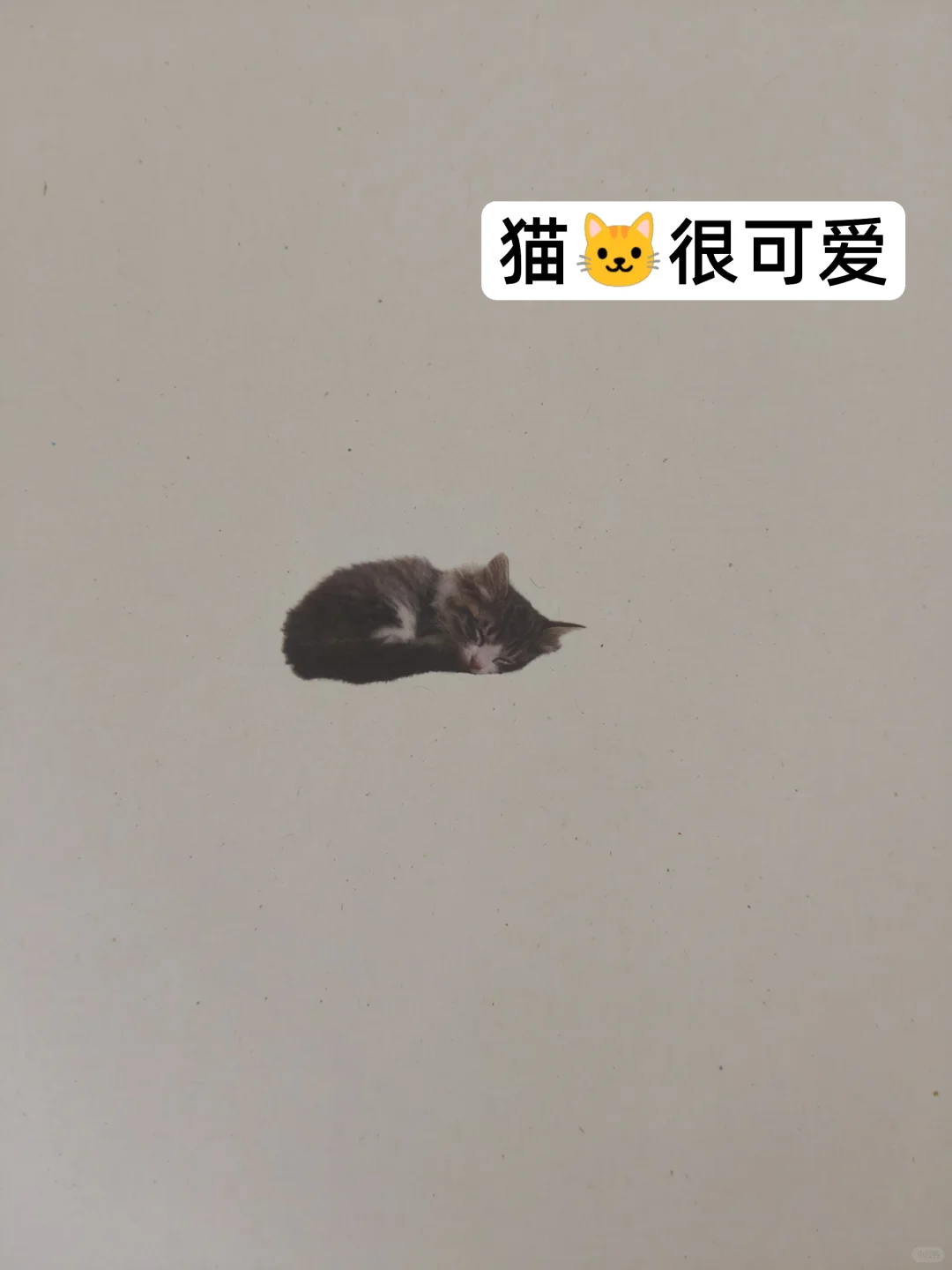 收到了一封特别邮件