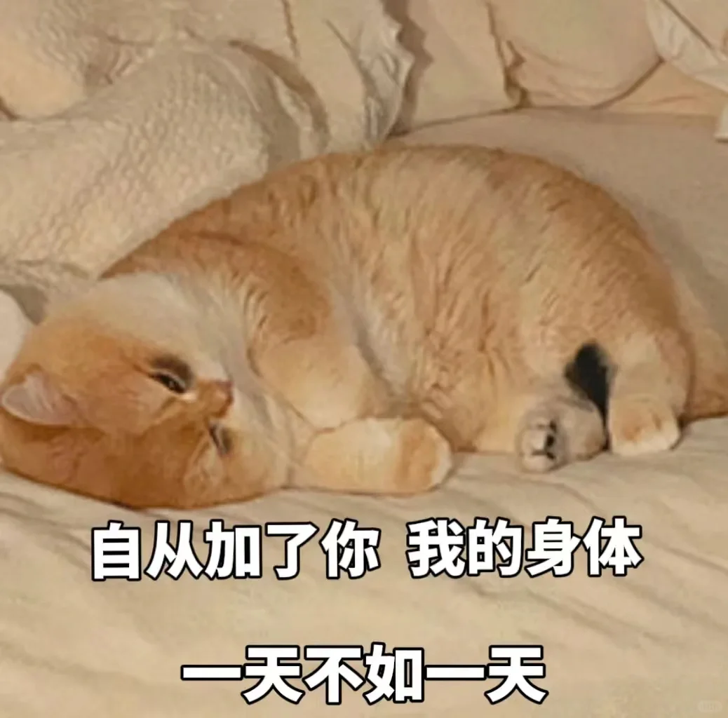 01期 情侣污污表情包