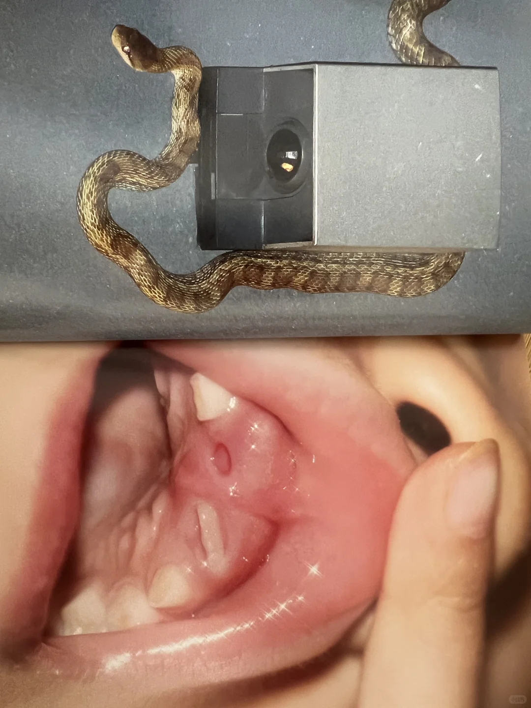 淘到一本喜欢的