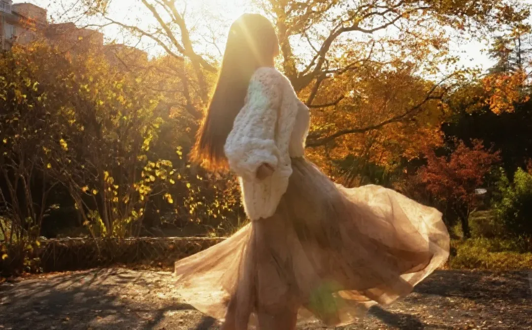 请你看过秋天的落叶🍂还有琉光