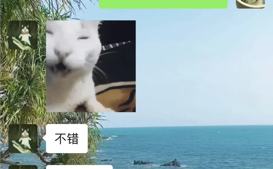 从今天起，要幸福呀！💍