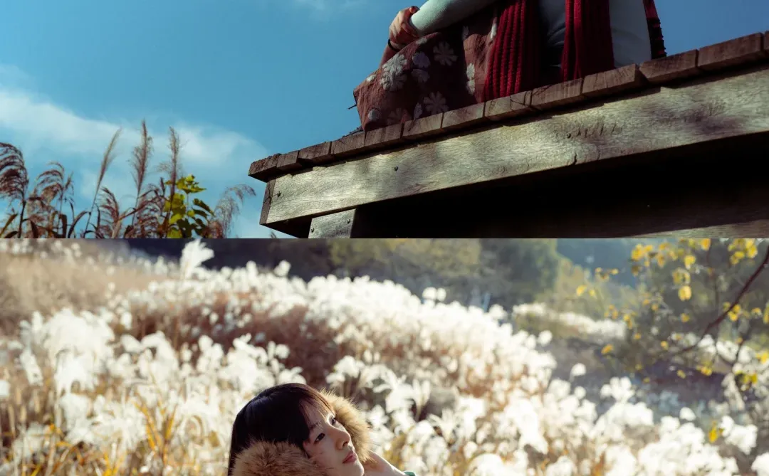 当我把照片按苍井优旅行写真排版