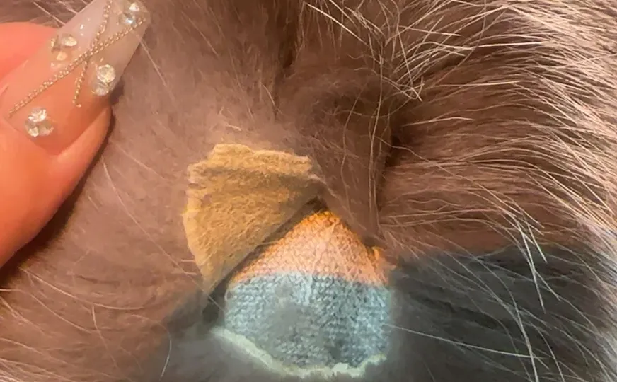 曝光辛选的选品质量 正常人都看得出翻新皮