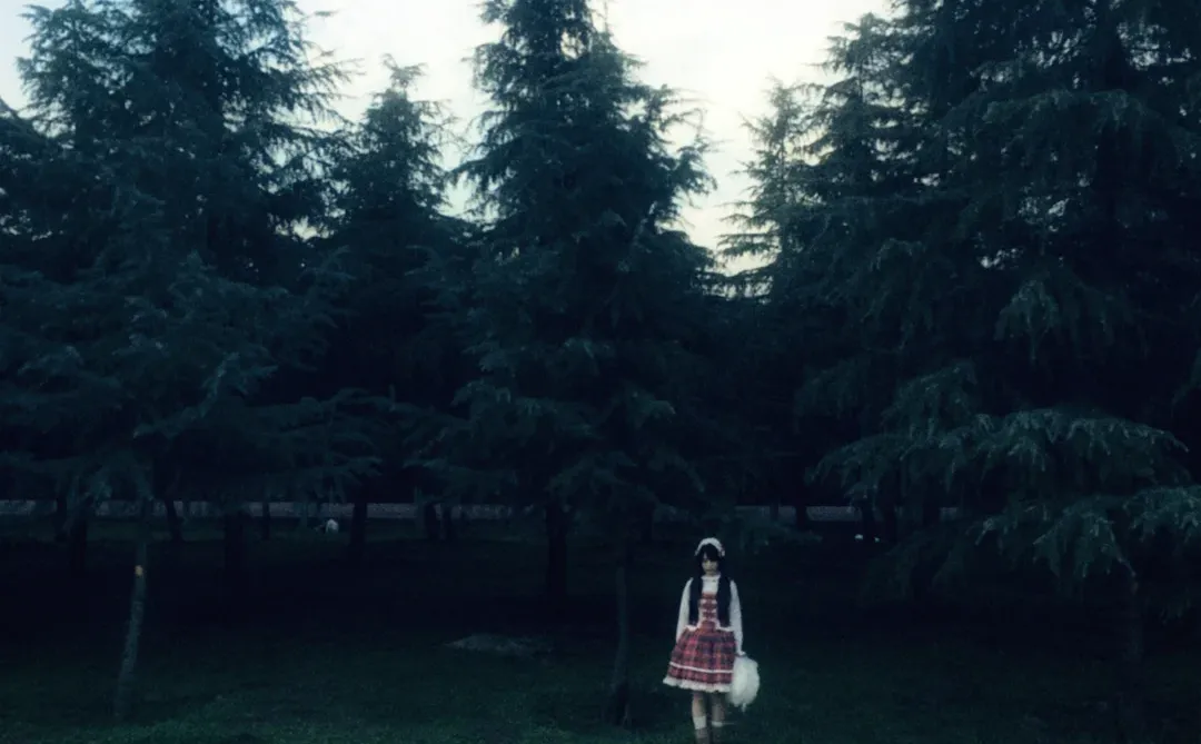 6s的氛围感｜在森林里