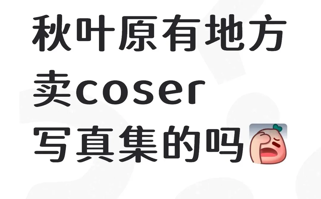 秋叶原哪里可以买到coser写真？实体本