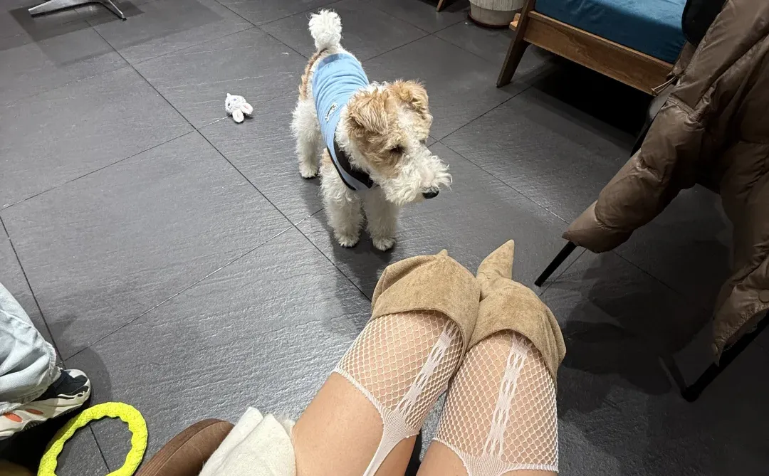 又到穿丝袜的季节