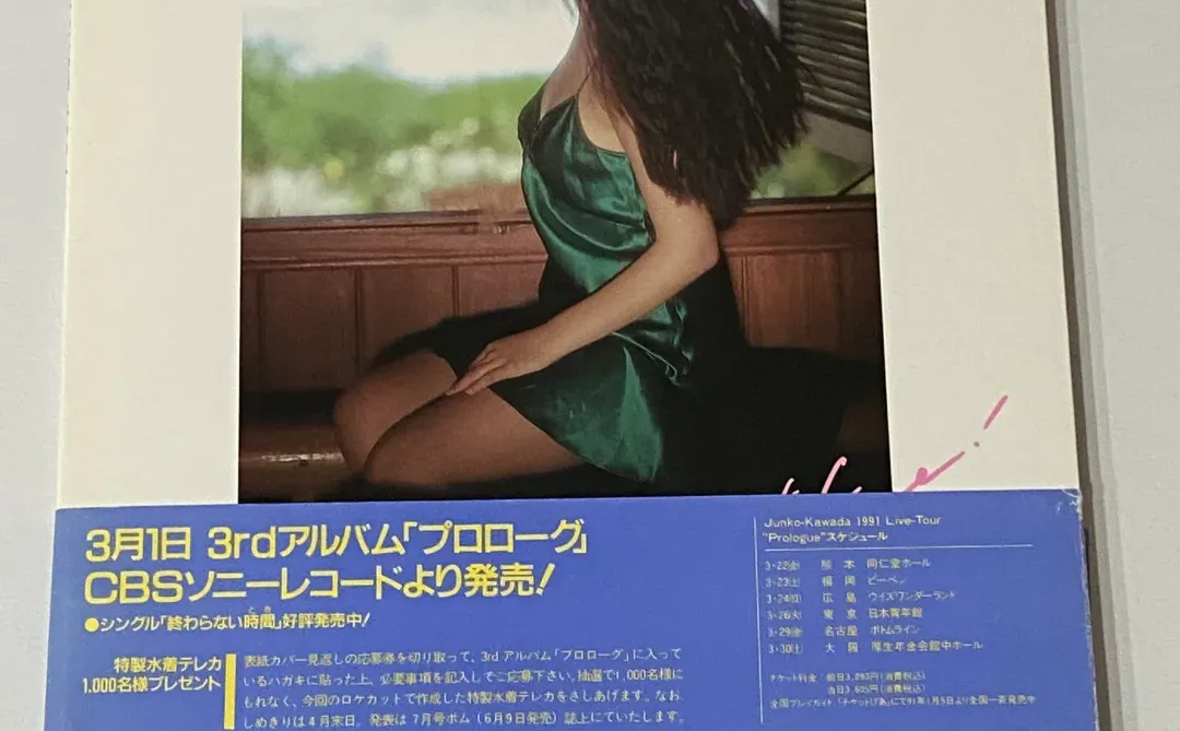 河田纯子写真集