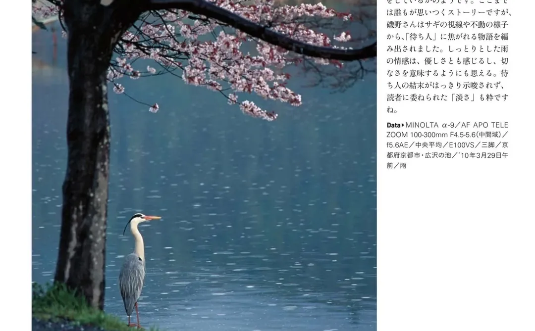 风景写真 25年7&8月刊