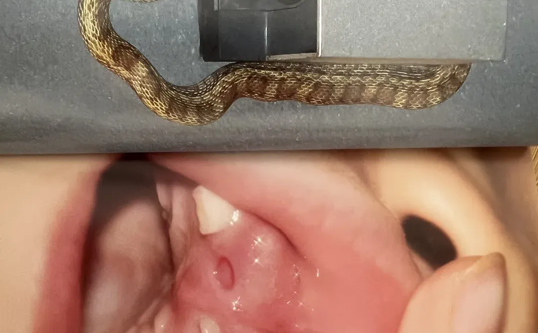 淘到一本喜欢的