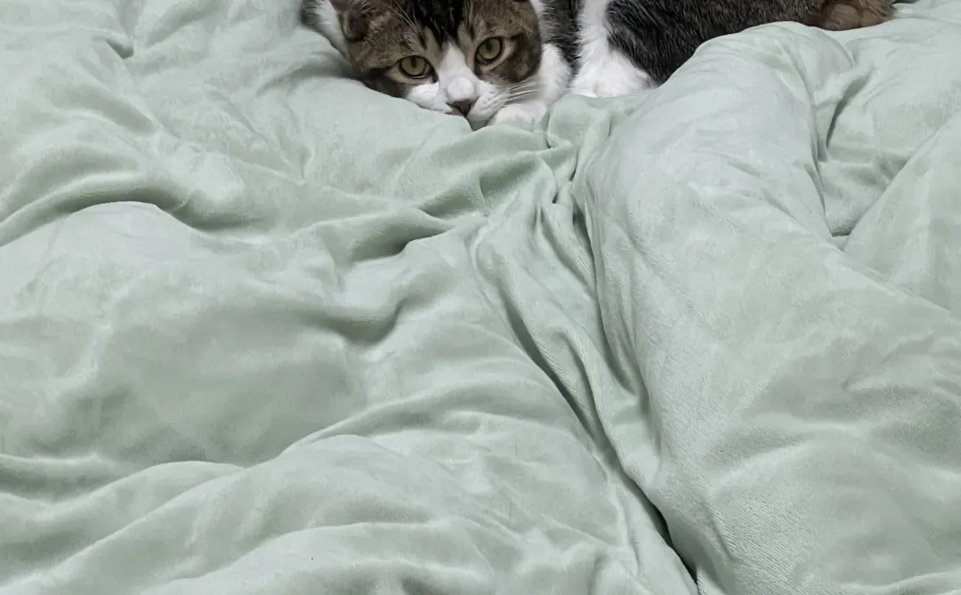 天呐天呐，我床上竟有此等尤物