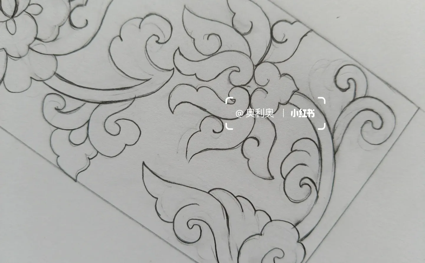 牡丹与蝴蝶 | 国风图案的梦幻联动🦋🌸