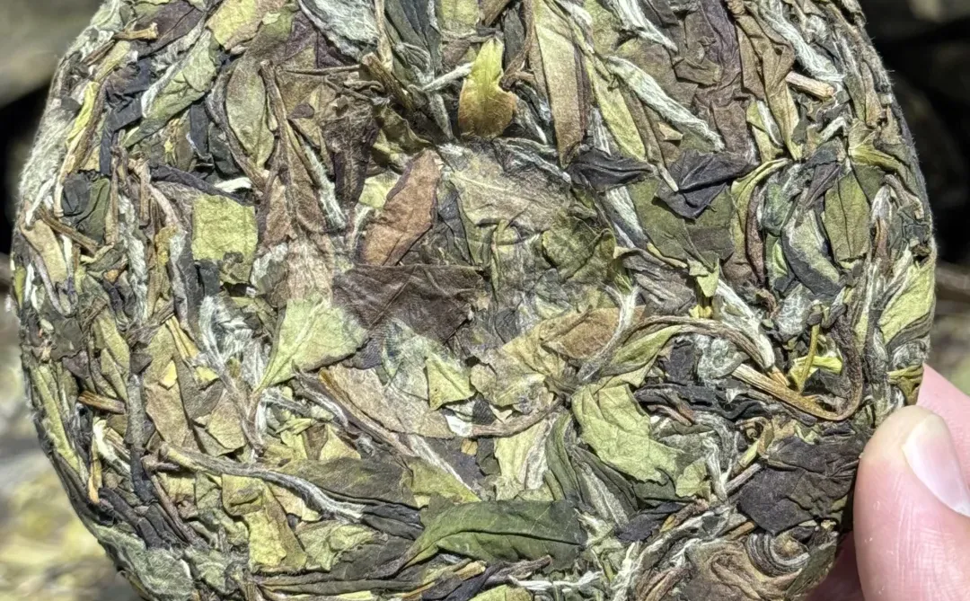福鼎白茶 | 野白🍃❤️寿眉