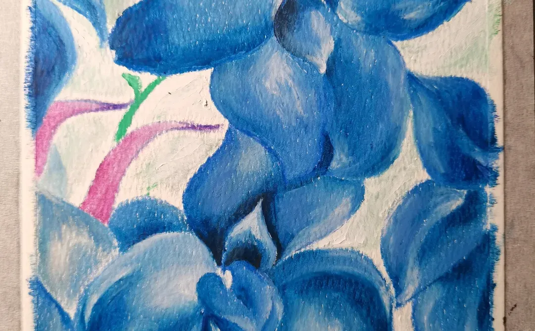 油画棒 | 娇艳蝴蝶兰