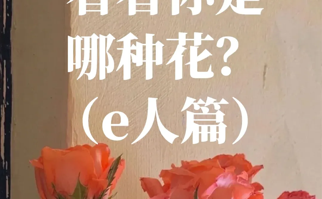 准到离谱！16型人格对应这16种花🌹（下）