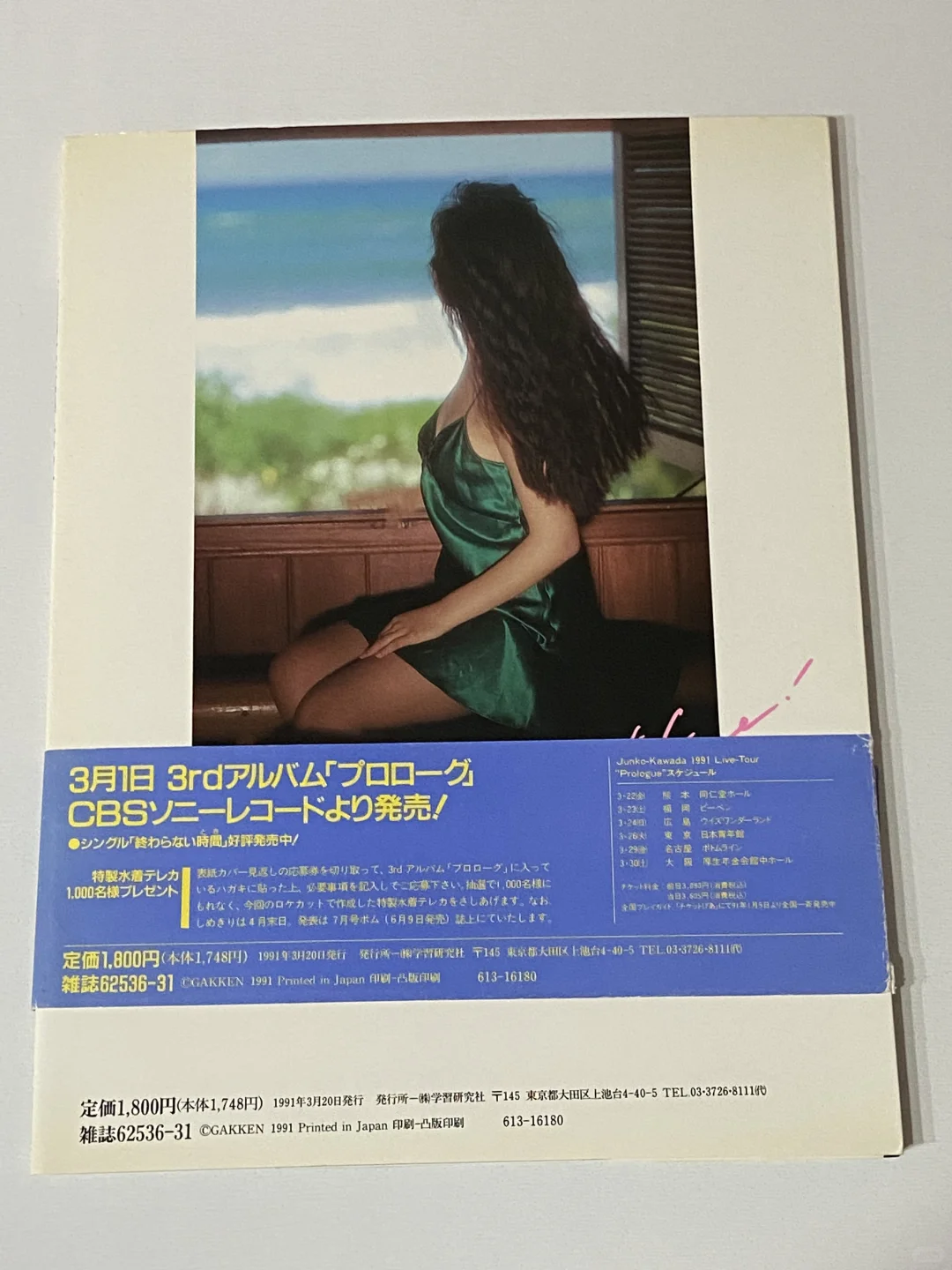 河田纯子写真集