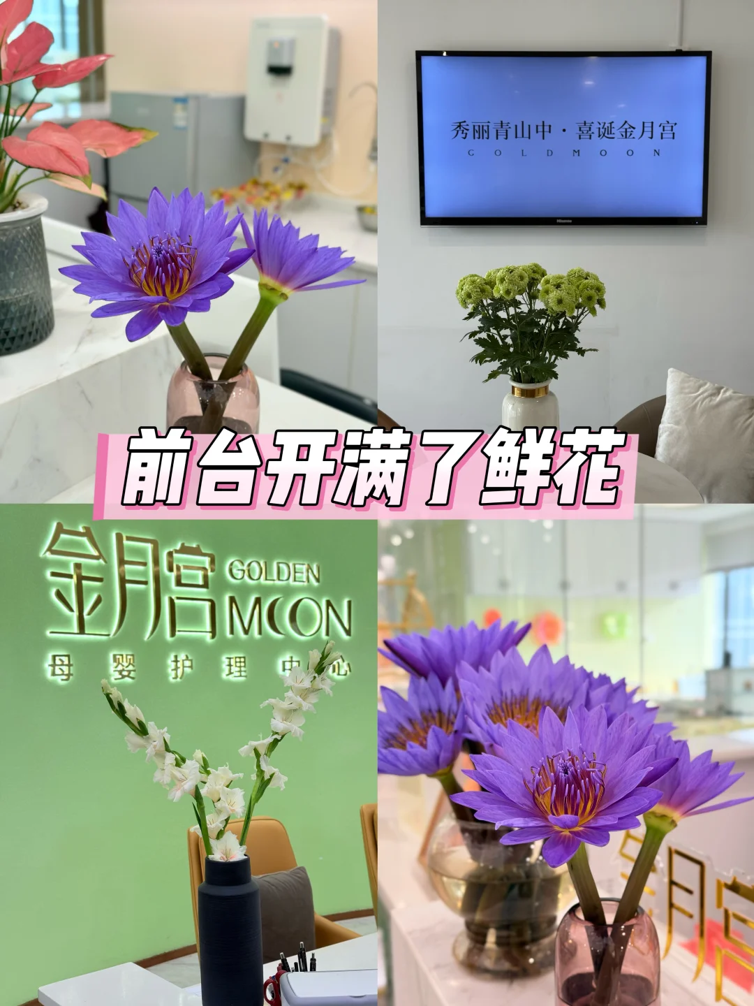 前台的花🌸今天的微笑担当