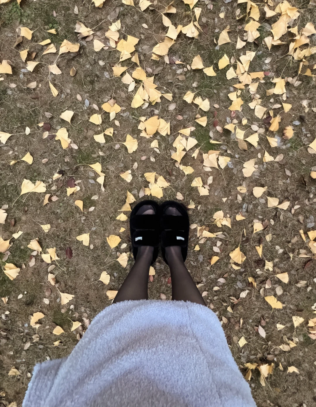 谁说冬天不能黑丝❓