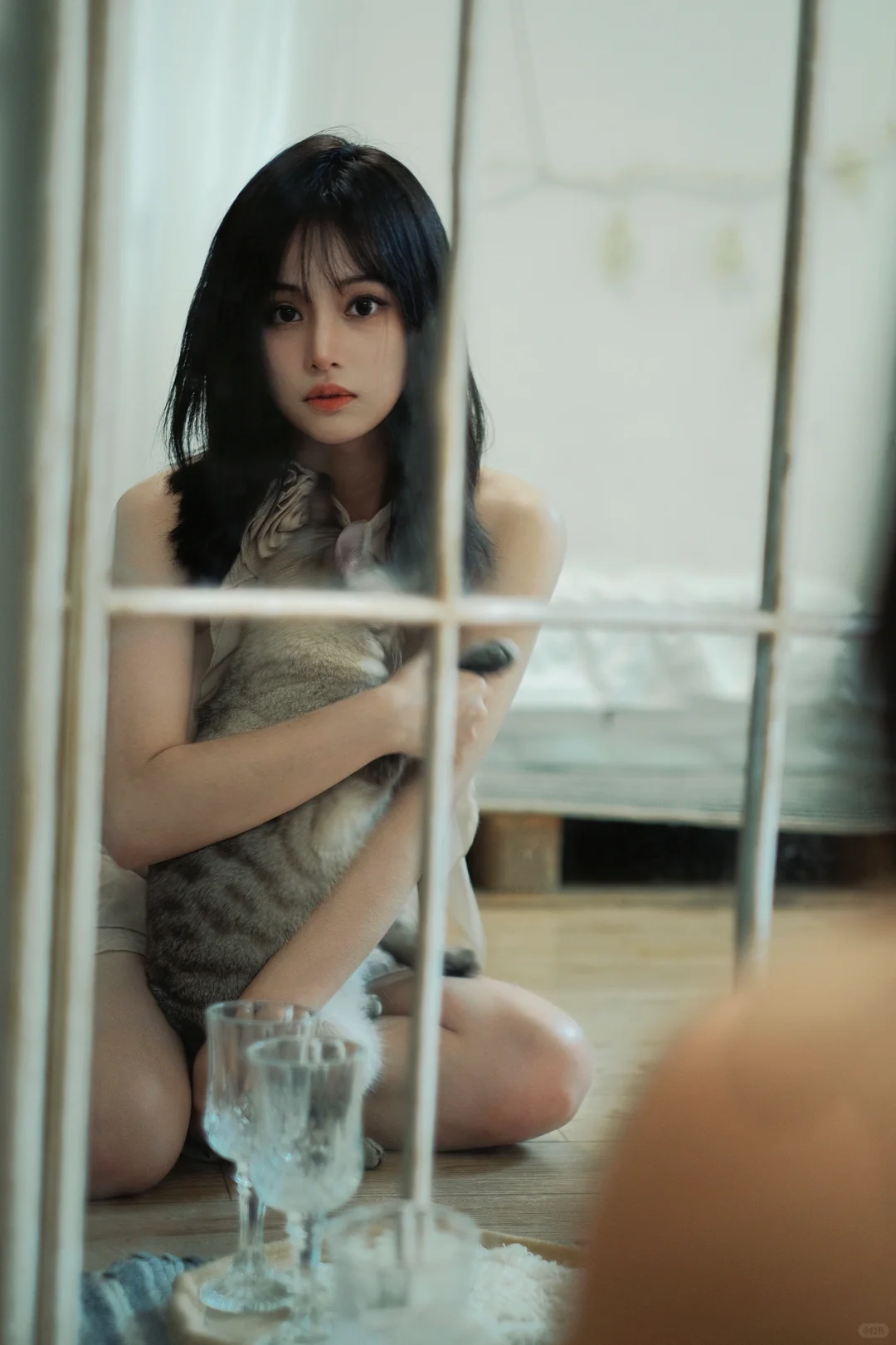 做我的猫 🐈｜上海轻私房写真