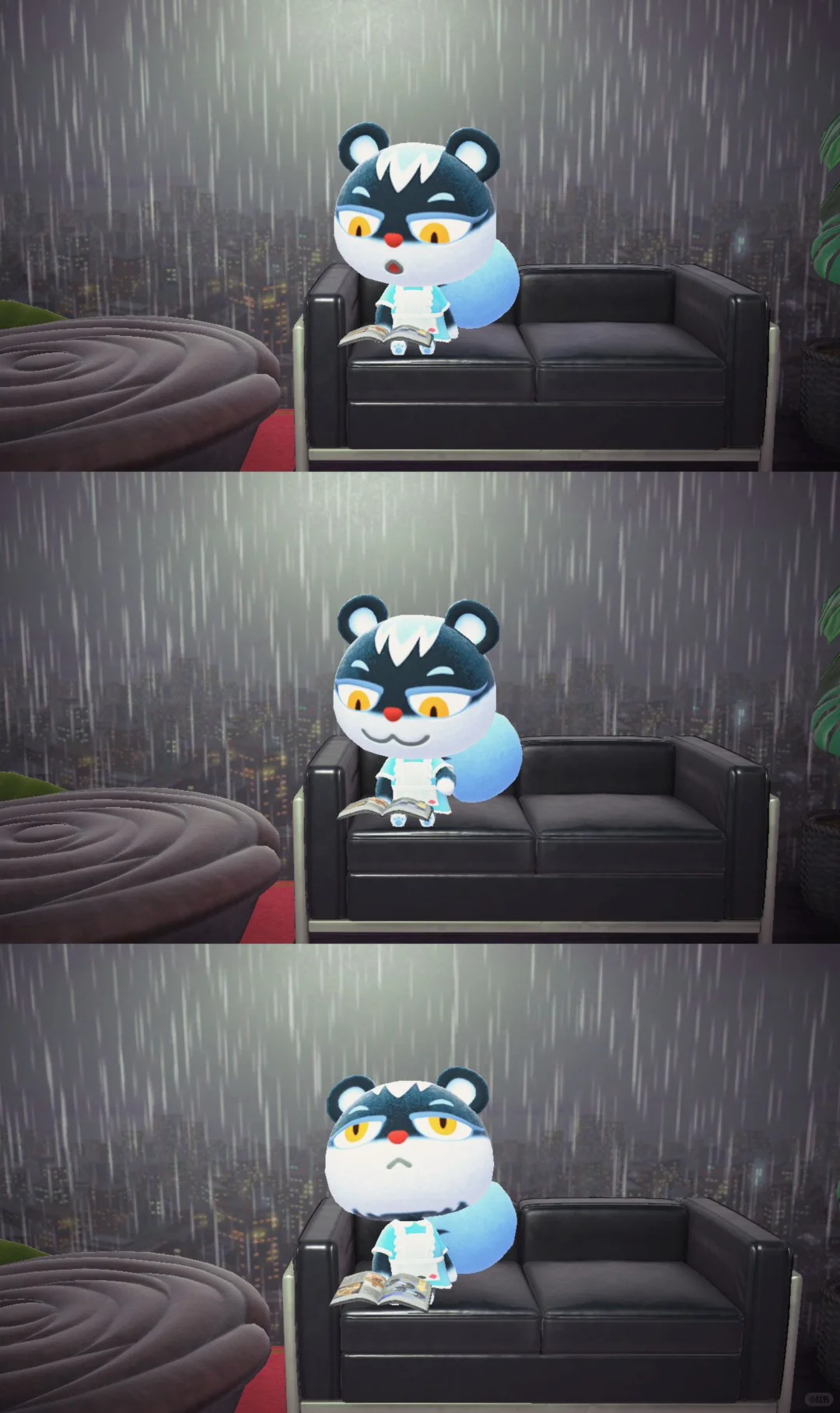 岛民合影✌︎' ֊'大概会是永久住民