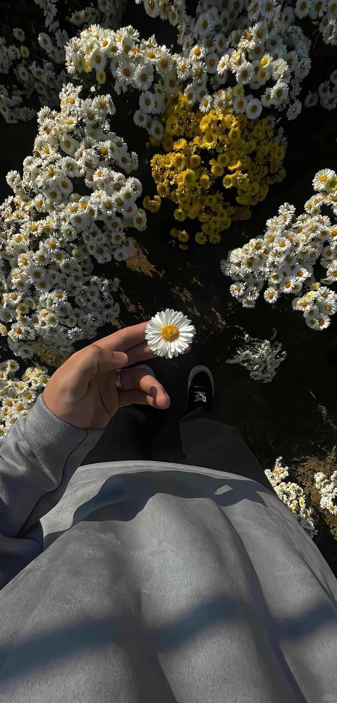 share|11.24快来换壁纸叭～