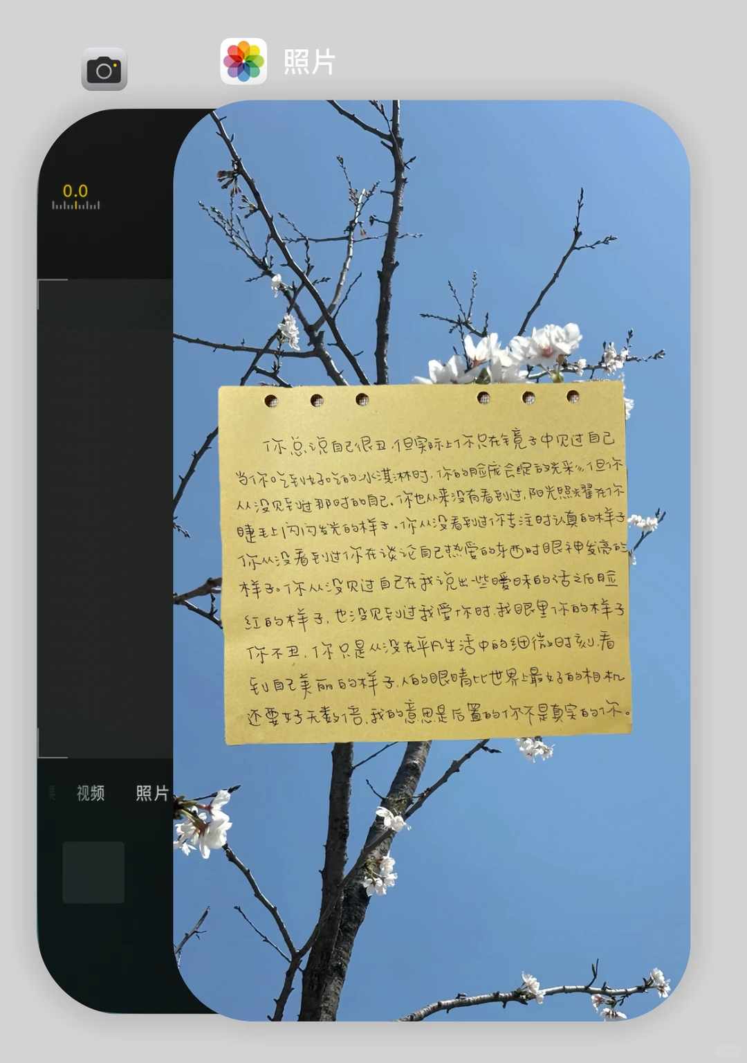 25.12.14壁纸分享｜便签文字✍🏻