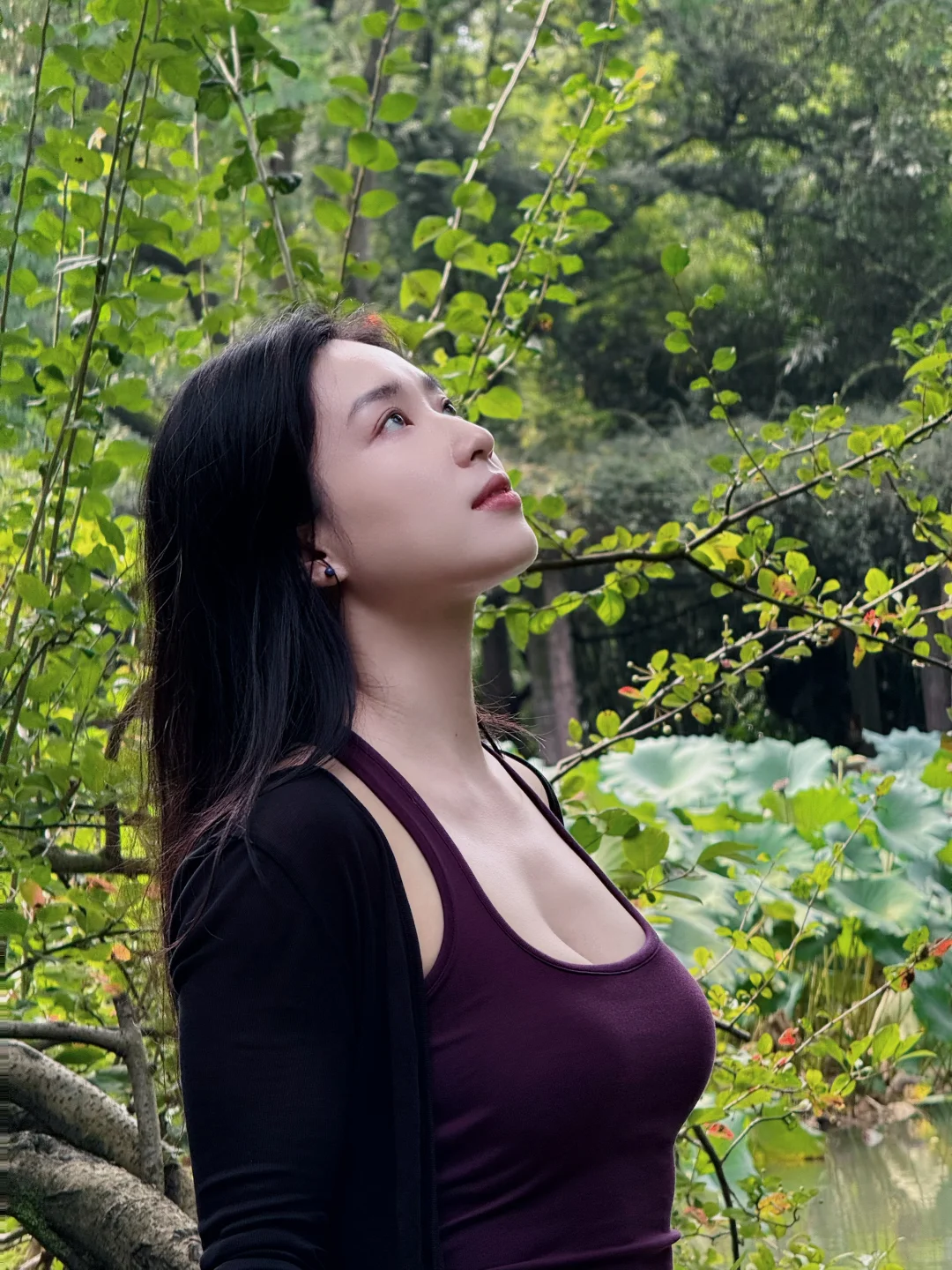 秋天的荷花，好美