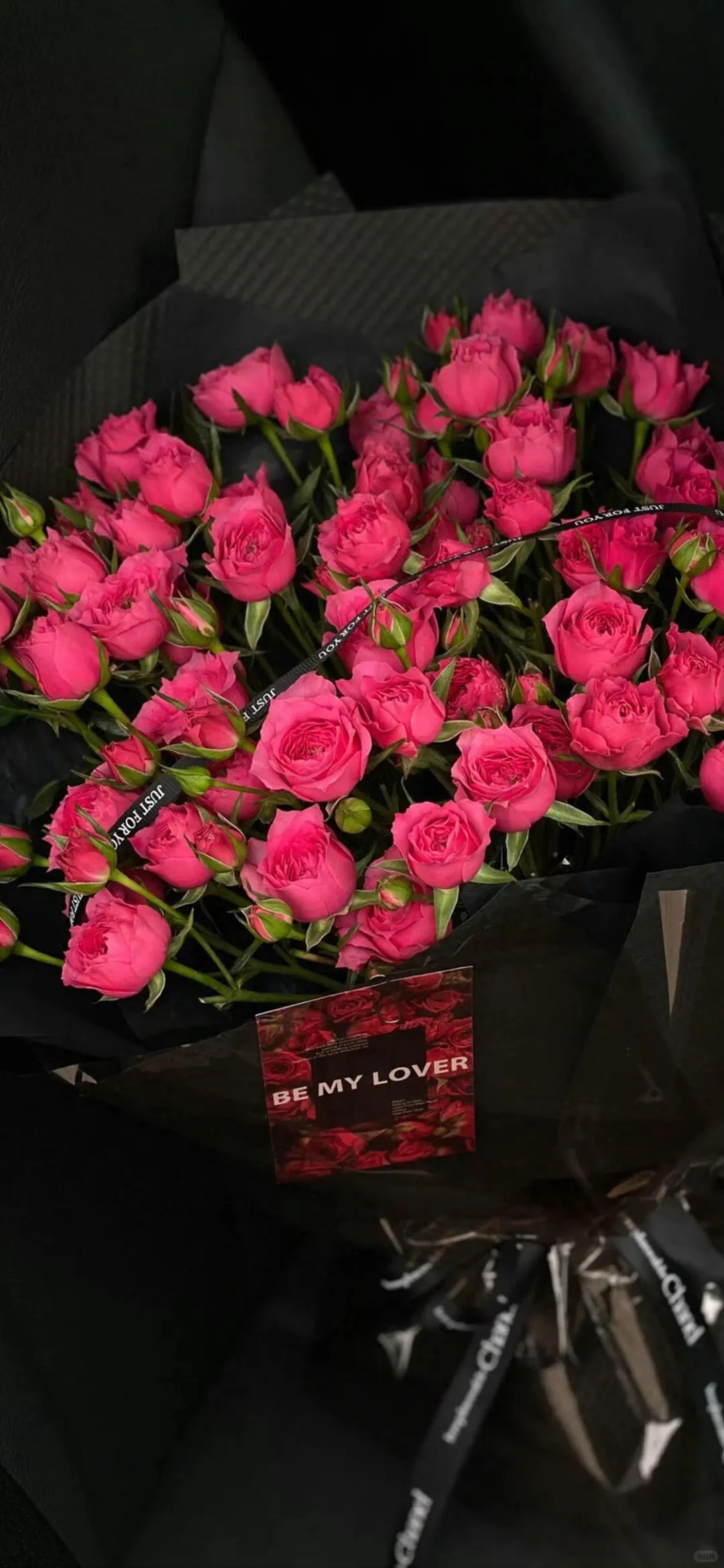 能量壁纸｜🌹如火夏日与娇艳的玫瑰更配哦🔥